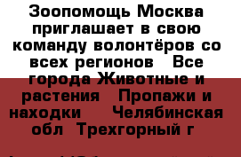 Зоопомощь.Москва приглашает в свою команду волонтёров со всех регионов - Все города Животные и растения » Пропажи и находки   . Челябинская обл.,Трехгорный г.